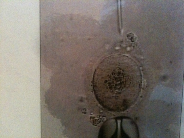 Photo3